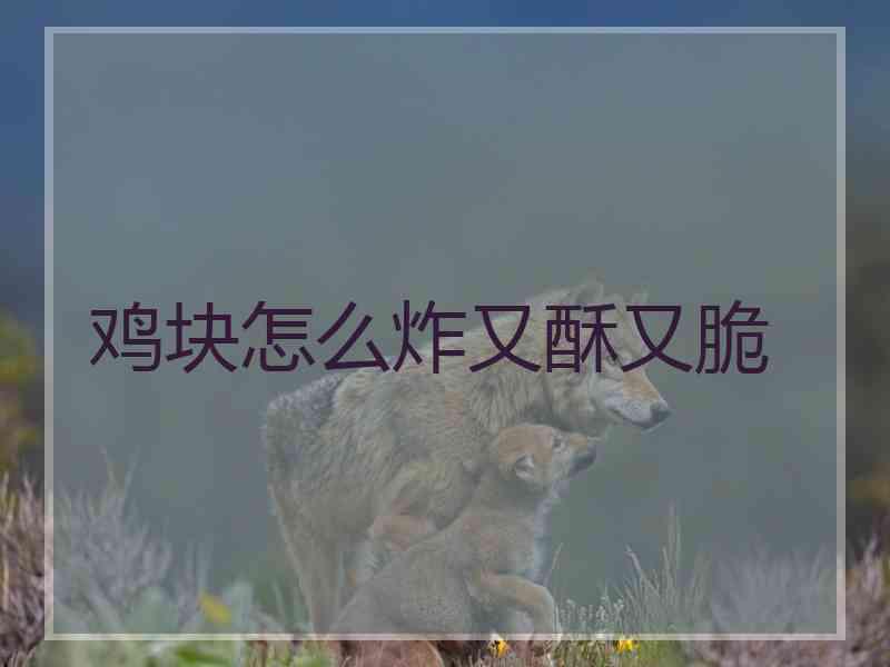 鸡块怎么炸又酥又脆