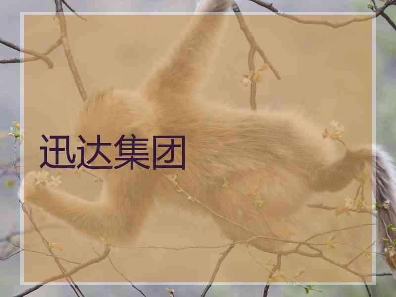 迅达集团
