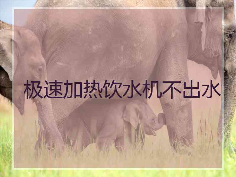 极速加热饮水机不出水