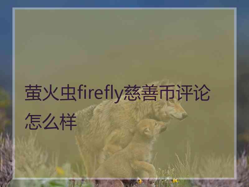 萤火虫firefly慈善币评论怎么样