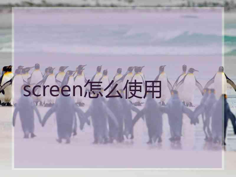 screen怎么使用