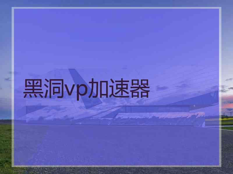 黑洞vp加速器