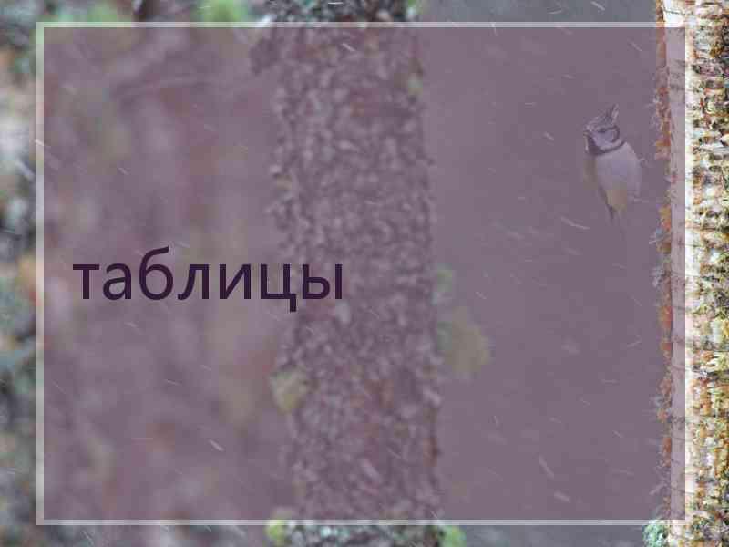 таблицы