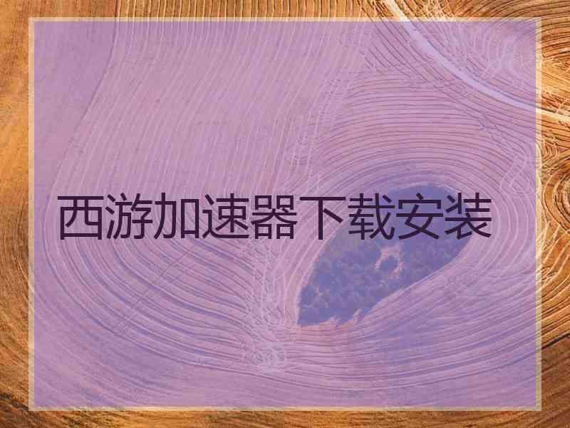 西游加速器下载安装