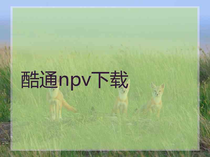 酷通npv下载