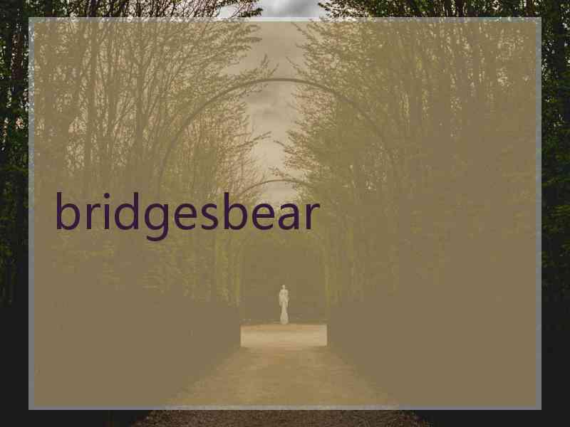 bridgesbear
