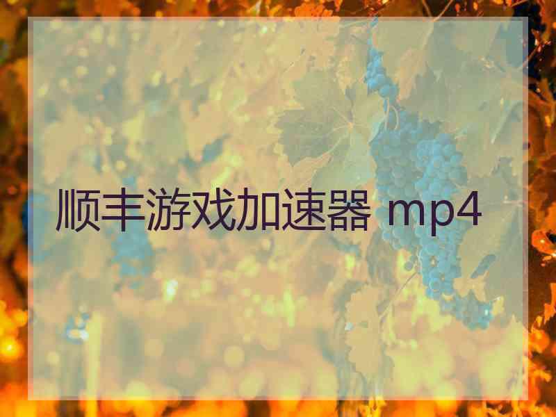 顺丰游戏加速器 mp4