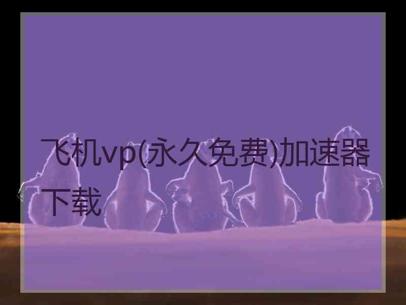 飞机vp(永久免费)加速器下载