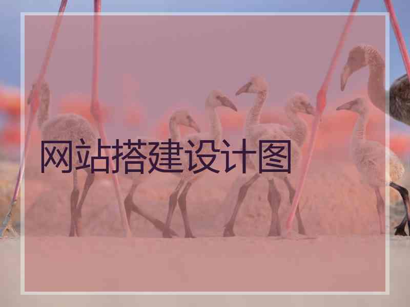网站搭建设计图