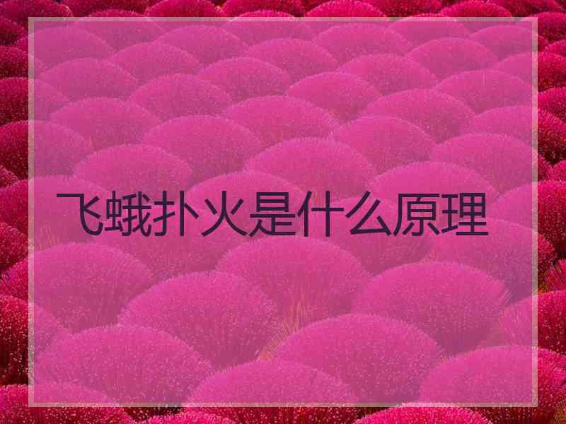 飞蛾扑火是什么原理
