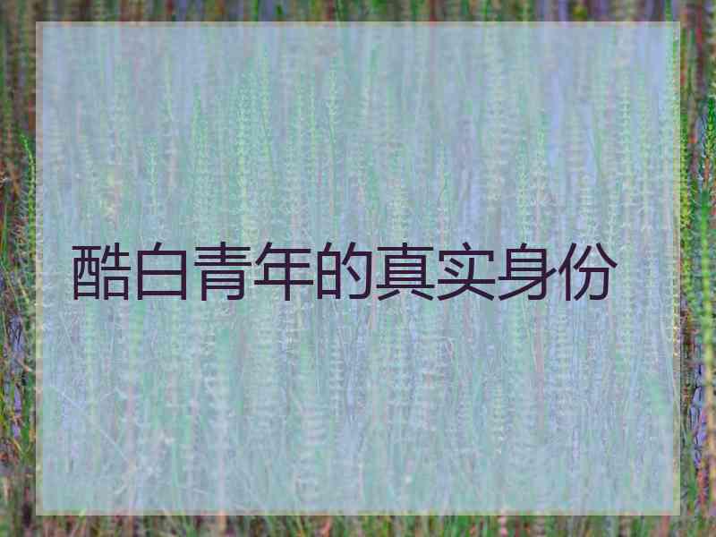 酷白青年的真实身份