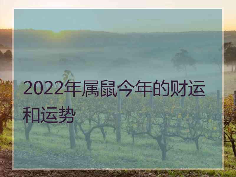 2022年属鼠今年的财运和运势