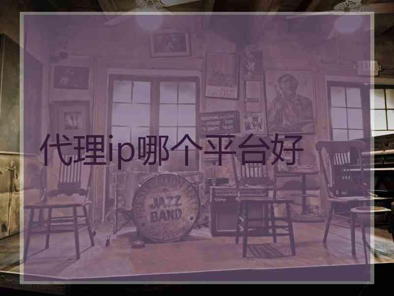 代理ip哪个平台好