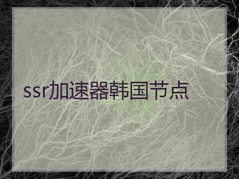 ssr加速器韩国节点