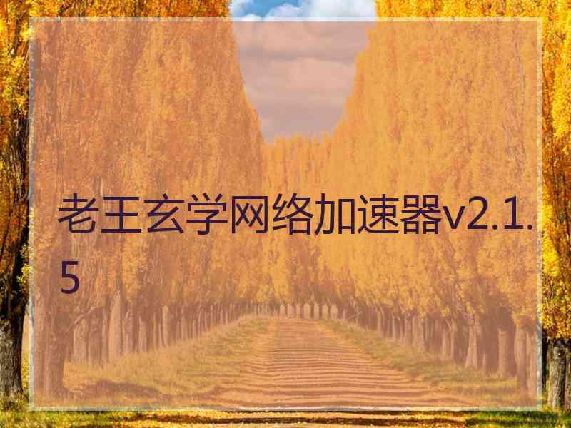 老王玄学网络加速器v2.1.5