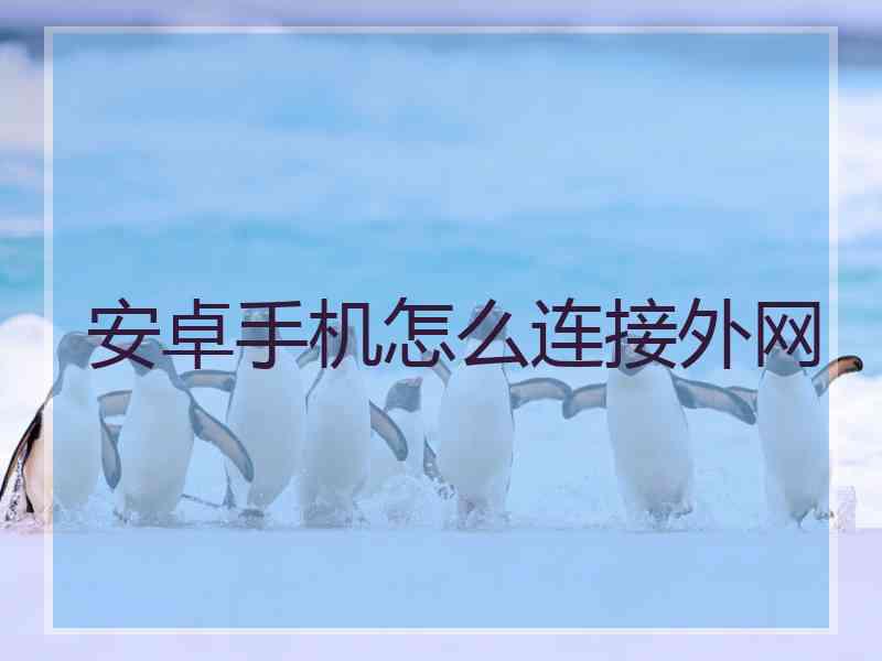 安卓手机怎么连接外网