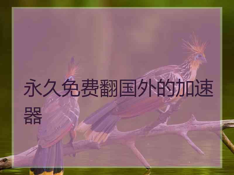 永久免费翻国外的加速器