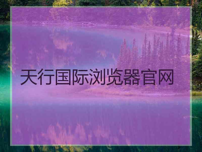 天行国际浏览器官网