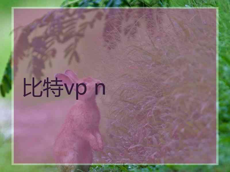 比特vp n