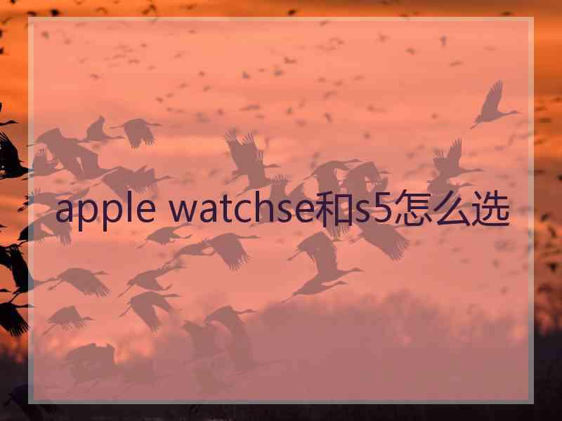 apple watchse和s5怎么选