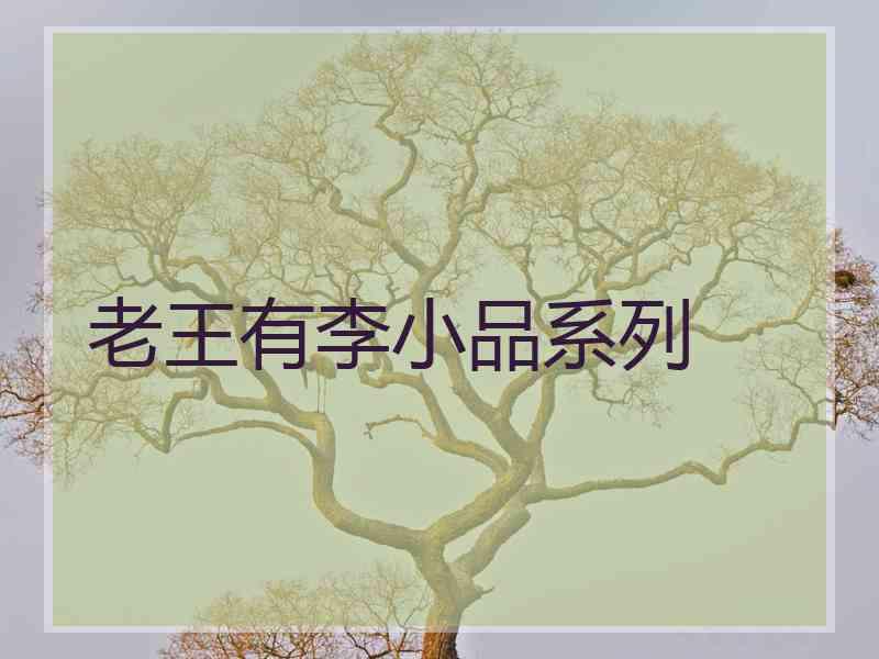 老王有李小品系列
