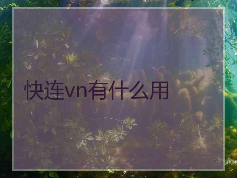 快连vn有什么用