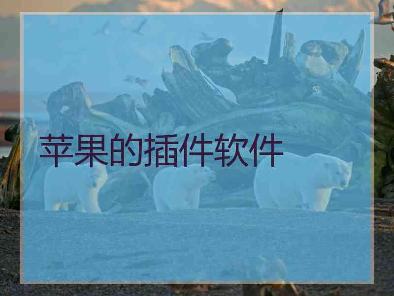 苹果的插件软件