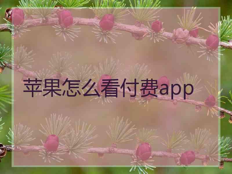 苹果怎么看付费app