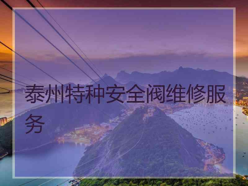泰州特种安全阀维修服务