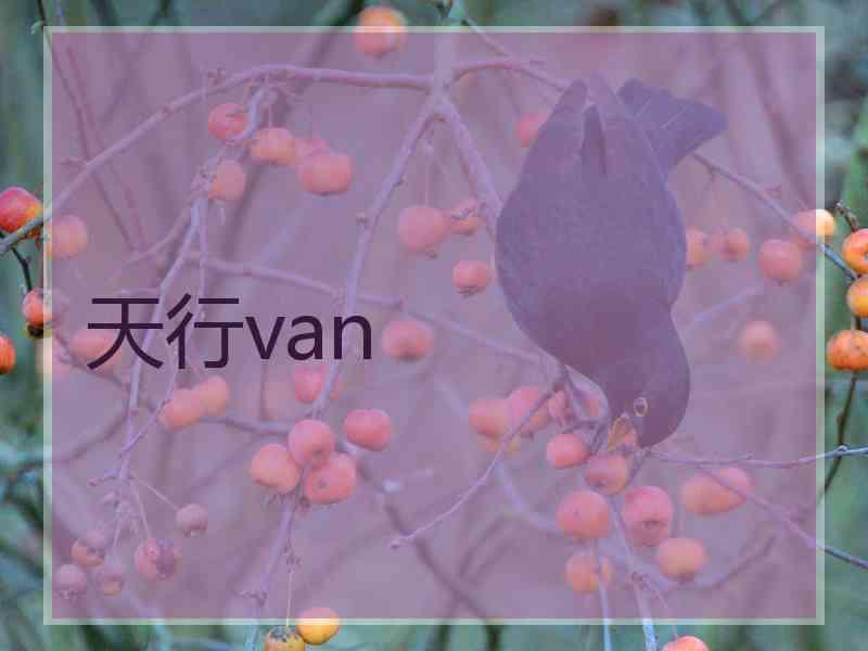天行van