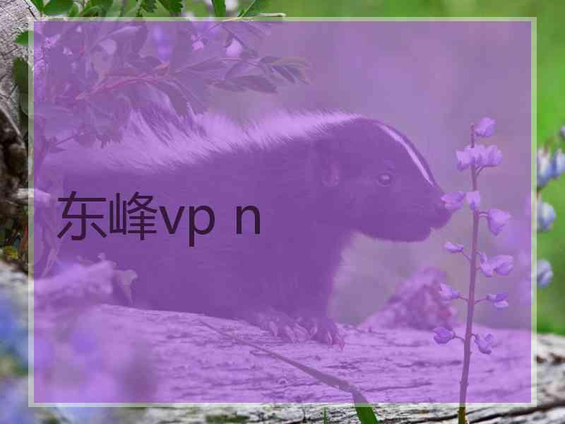 东峰vp n