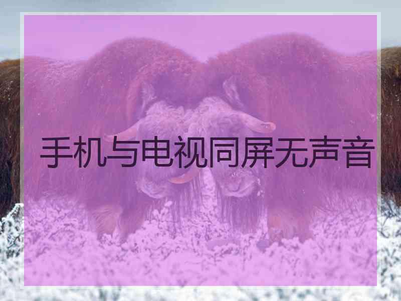手机与电视同屏无声音