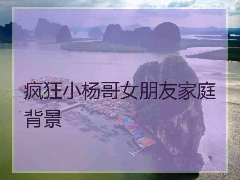 疯狂小杨哥女朋友家庭背景