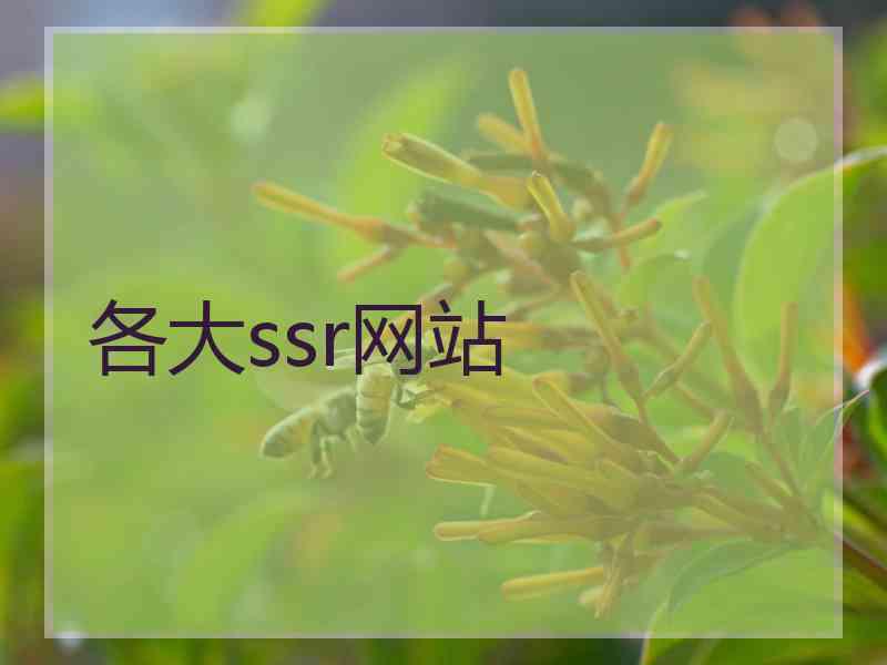 各大ssr网站