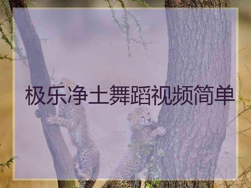 极乐净土舞蹈视频简单