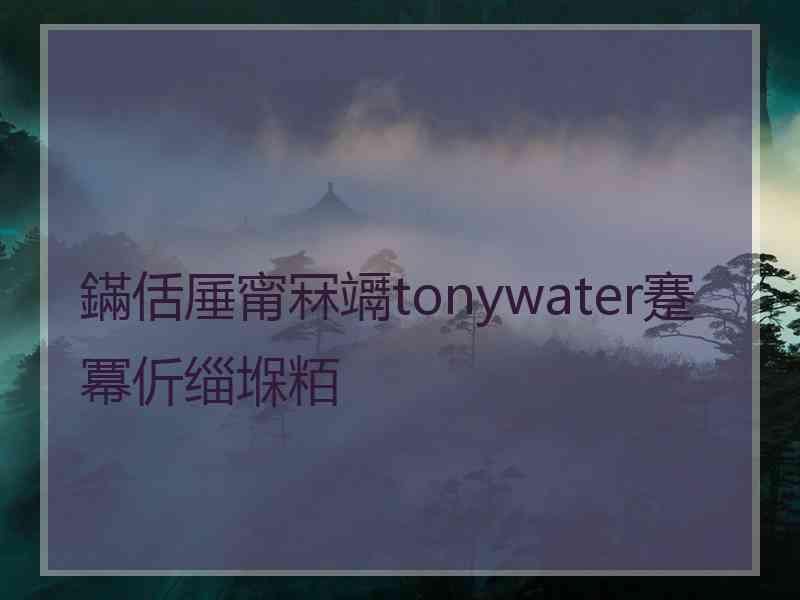 鏋佸厜甯冧竵tonywater蹇冪伒缁堢粨