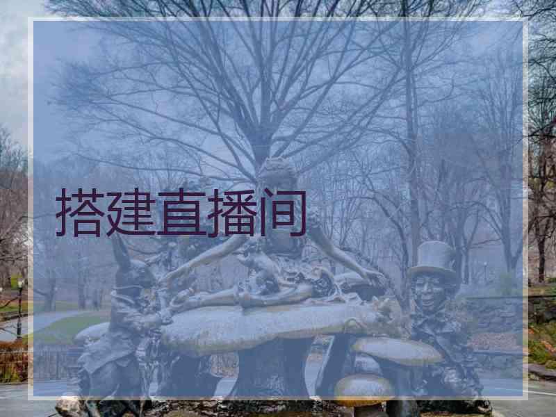 搭建直播间