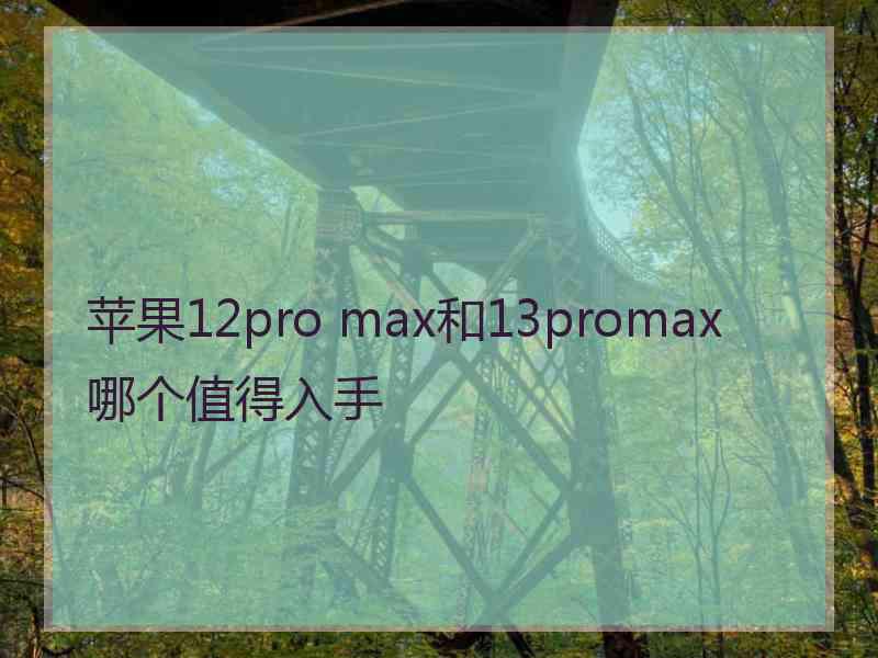 苹果12pro max和13promax哪个值得入手