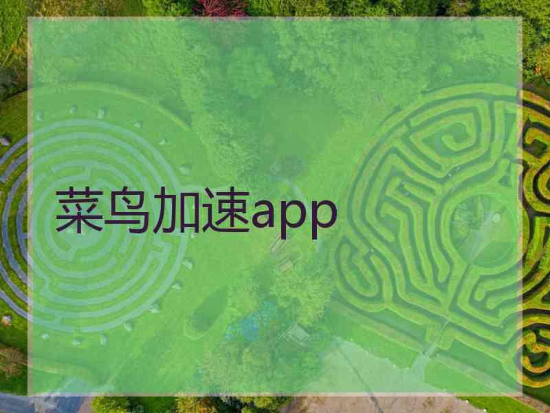 菜鸟加速app