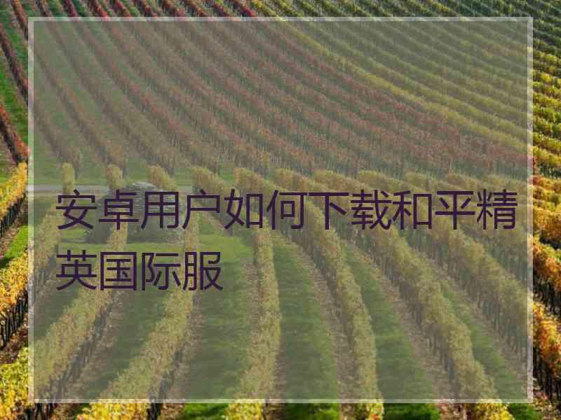 安卓用户如何下载和平精英国际服