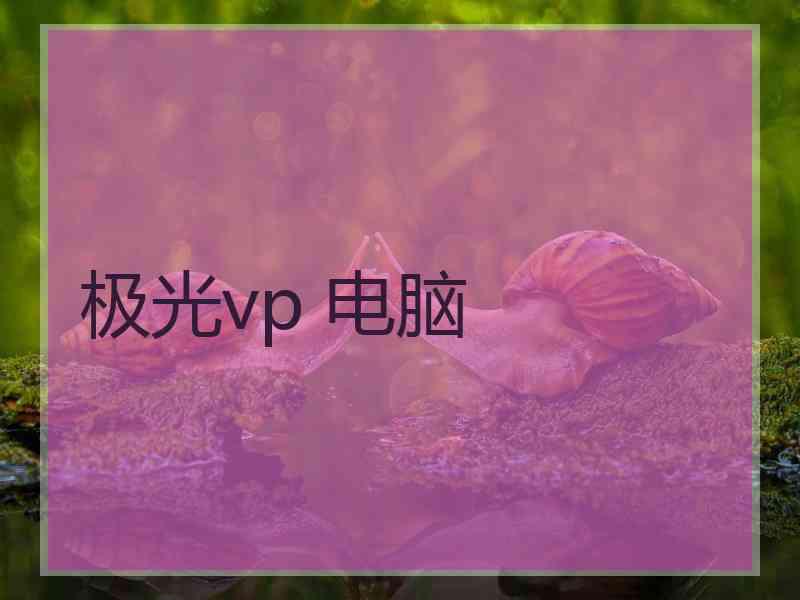 极光vp 电脑