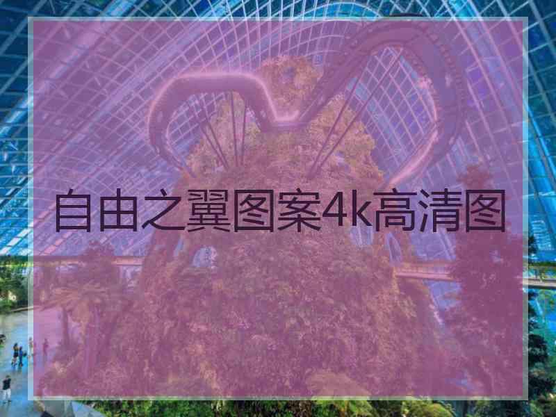 自由之翼图案4k高清图