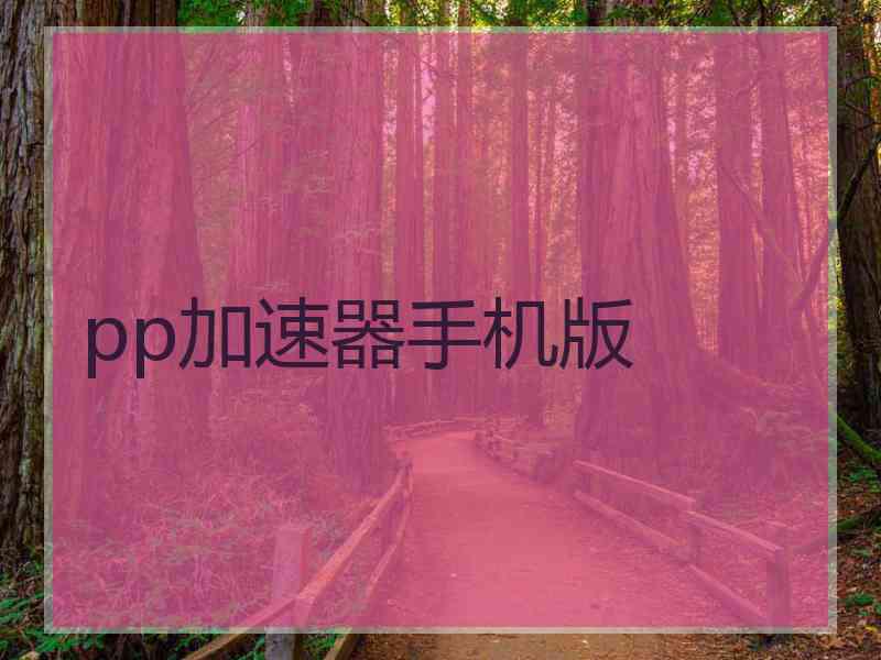 pp加速器手机版