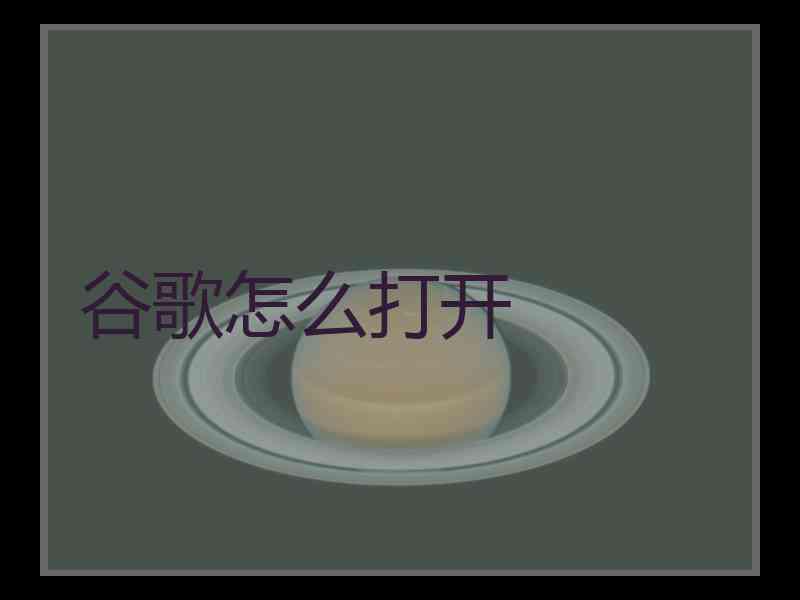 谷歌怎么打开