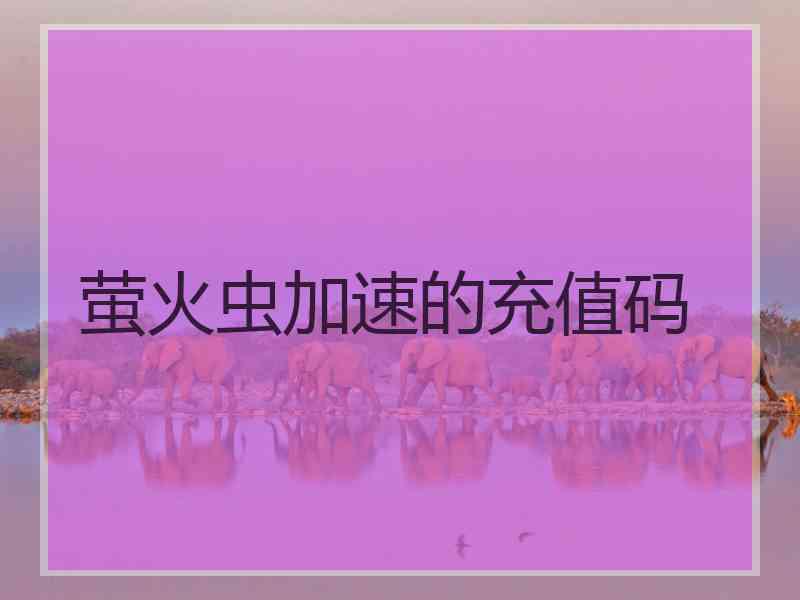 萤火虫加速的充值码