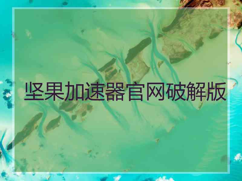 坚果加速器官网破解版