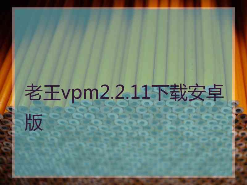 老王vpm2.2.11下载安卓版