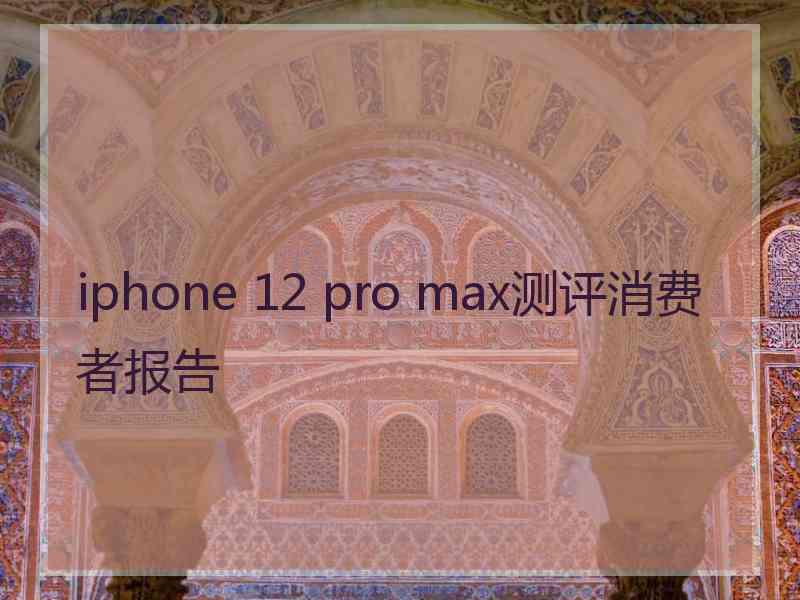 iphone 12 pro max测评消费者报告