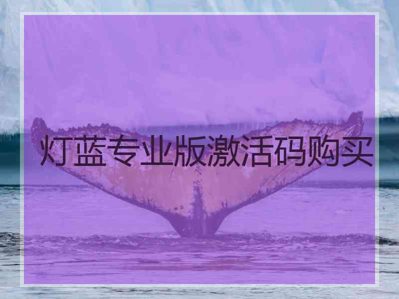 灯蓝专业版激活码购买