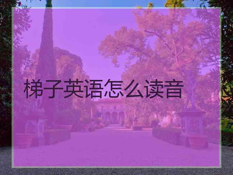 梯子英语怎么读音